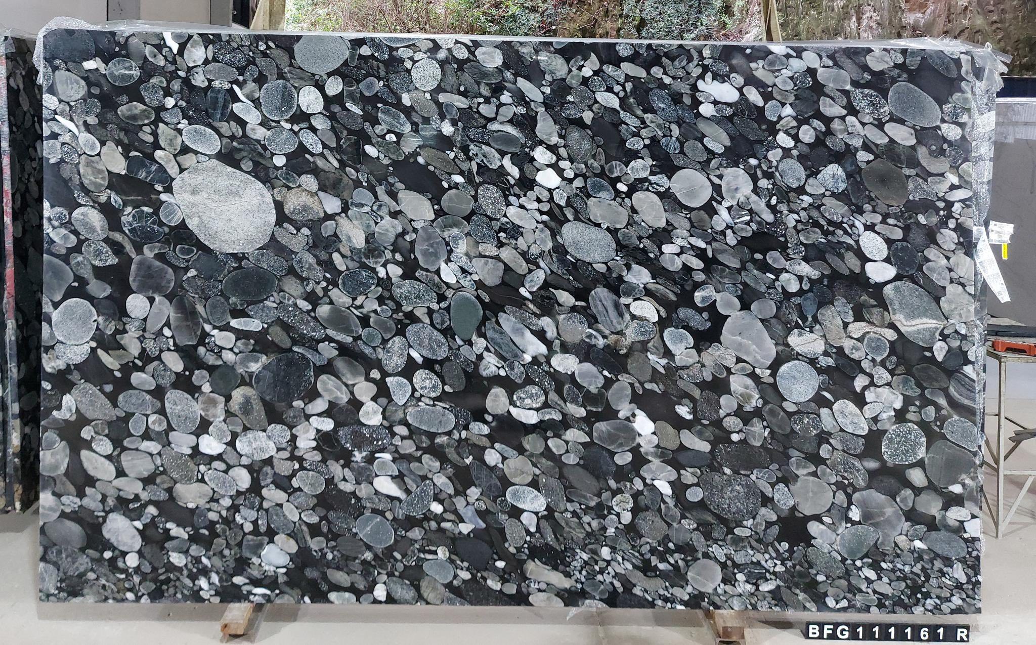 Exotic black granite slab with pebble-like inclusions throughout.